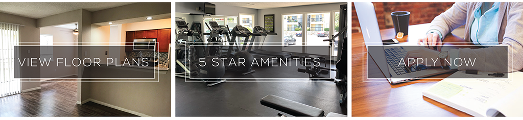 5 Star Amenities